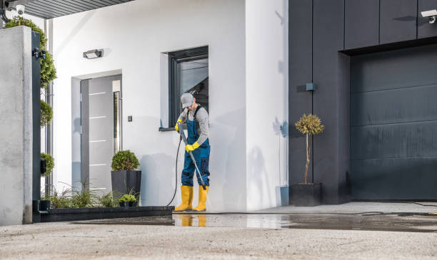 Best Solar Panel Cleaning  in Fruitridge Pocket, CA